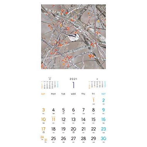 もふもふふわふわシマエナガ カレンダー 21 翔泳社カレンダー v ネットショップinfinity 通販 Yahoo ショッピング