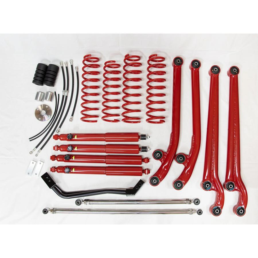 シリンドロプンチア　カット苗　23種類セット シリンドロプンチアカット苗23種類セット