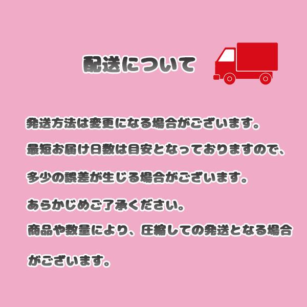 ロングスカート チュールスカート レディース スカート レース ウエストゴム かわいい ガーリー ふわふわ 送料無料 得トクセール オープン記念｜nselect｜18