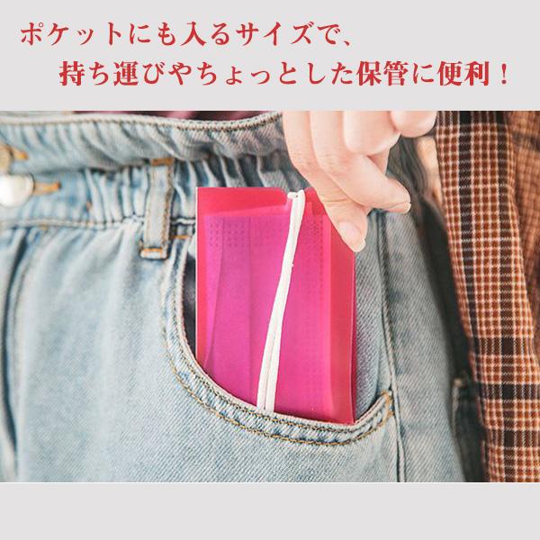 マスクケース 携帯用 コンパクト 折りたたみ 丸洗い ２枚セット PP ポケット マスク 無地 シンプル 送料無料 得トクセール オープン記念 選べる カラー |  | 08