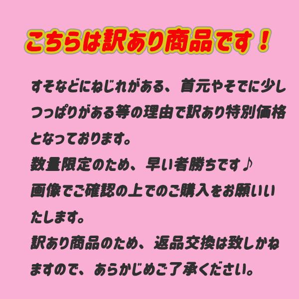 訳あり Tシャツ 選べる レディース 半袖 インナー シンプル Uネック 丸首 Vネック トップス ホワイト ブラック 白 黒 送料無料 得トクセール オープン記念 |  | 11
