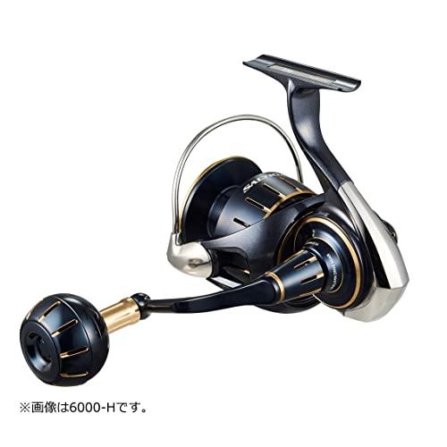 一番安い ダイワ(DAIWA) スピニングリール 23ソルティガ 6000-XH