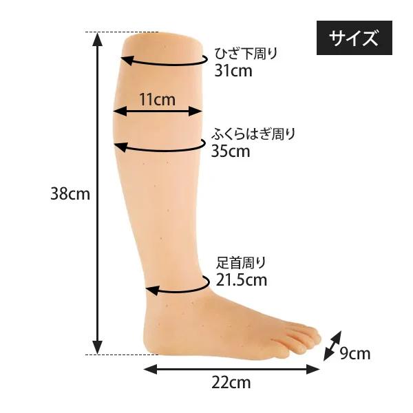 練習用 マネキン 足 フット 左右両足セット 幅9&times;長さ23&times;高さ39cm ( 10163 ） フットマネキン 足裏 足つぼ マッサージ リフレクソロジー エステ用品