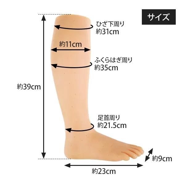 7BEAUTY（7ビューティー） 足模型 足モデル フットモデル 左右両足