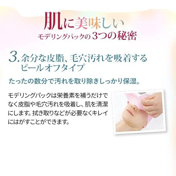 モデリングパック フェイスパック 顔パック パック ピールオフパック はがすタイプ はがす 剥がす エステ 業務用 プロズビ 33回分 11種 ...