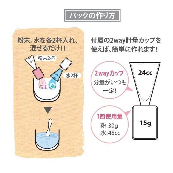 モデリングパック フェイスパック 顔パック パック ピールオフパック はがすタイプ はがす 剥がす エステ 業務用 プロズビ 33回分 11種 ...