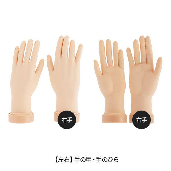 7BEAUTY（7ビューティー） ネイル練習用 ハンドマネキン 練習