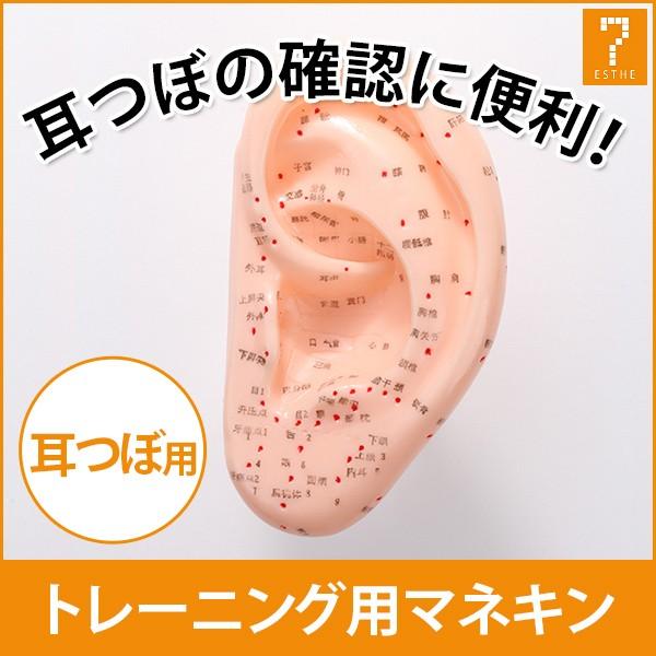 SEVEN BEAUTY（セブンビューティー） 耳模型 耳つぼ 幅80×奥行35×高さ