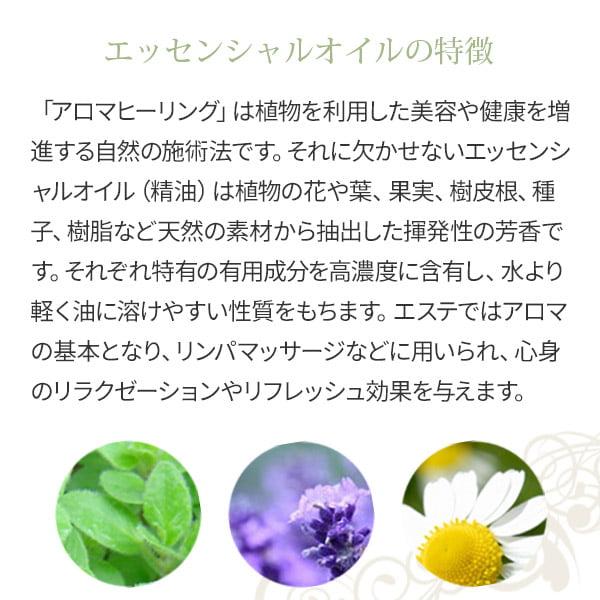 アロマオイル エッセンシャルオイル 精油 3mL ティートリー アロマ
