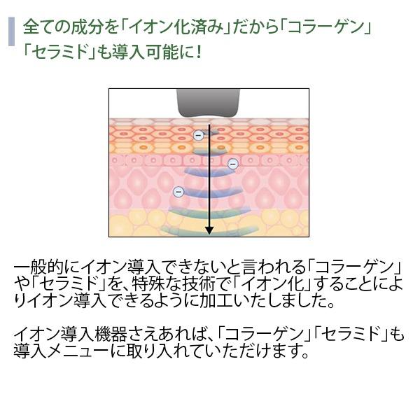 7BEAUTY（7ビューティー） ビタミンC イオン導入美容液 60ml イオン