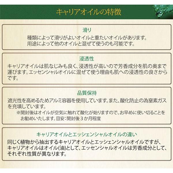 あすつく対応】 グレープシードオイル 1000ml キャリアオイル アロマ マッサージオイル 低温圧搾法 スキンケア マッサージ 業務用 美容オイル 天然100% :27394:セブンショップヤフー店 - 通販 - Yahoo!ショッピング あすつく対応】 グレープシードオイル 1000ml キャリアオイル アロマ マッサージオイル 低温圧搾法 スキンケア マッサージ 業務用 美容オイル 天然100% :27394:セブンショップヤフー店 - 通販 - Yahoo!ショッピング