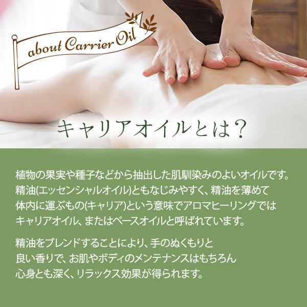 アプリコットオイル カーネル キャリアオイル 1L マッサージオイル