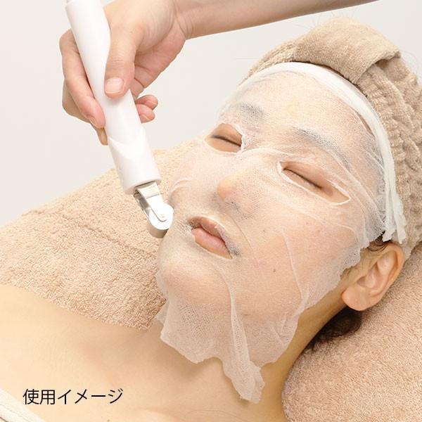 業務用 サロン用 イオン導入 美顔器 HD イオン導入器 イオン美顔 業務用 サロン用 イオン導入 美顔器 HD イオン導入器 イオン美顔