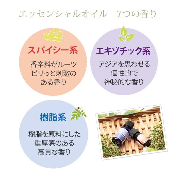 アロマオイル 精油 スイートオレンジ 100mL エッセンシャルオイル
