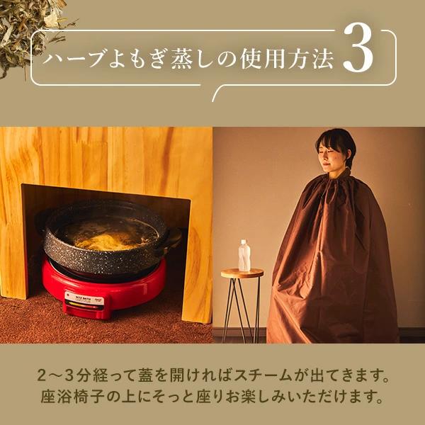 よもぎ蒸し ハーブ蒸し ハーブ パック ローズ ドクダミ レモン ミント
