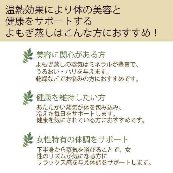 ハーブ蒸し ハーブ パック よもぎ蒸し 国産 日本 自宅 家庭 業務用 プチギフト ギフト プレゼント 女性 座浴 ヨモギ 粉末 業務用 ローズマリー エステ サロン｜nshop-y｜08