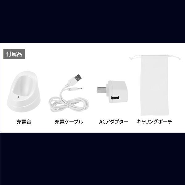 エレクトロポレーション EMS RF LED 美顔器 ハンディポ エレクトロポレーション EMS RF LED 美顔器 ハンディポ