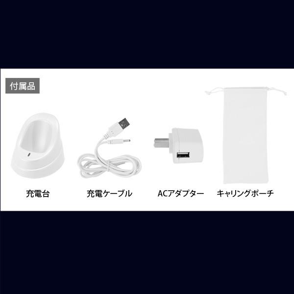 エレクトロポレーション EMS RF LED 美顔器 ハンディポレーション KD-9900 ラジオ波 光エステ 光美顔器エステ機器 美顔機 美容機器｜nshop-y｜19