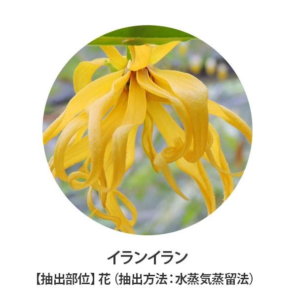 アロマオイル 精油 イランイラン 100mL エッセンシャルオイル アロマ