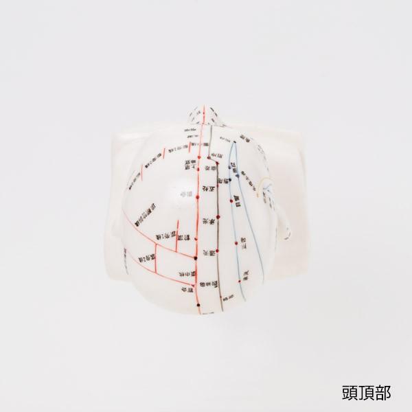 人体模型 経穴人形 7ウェルネ 頭部 鍼灸模型 中国語 20cm 鍼灸 経穴