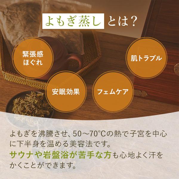 よもぎ蒸し よもぎ パック 25g×20袋 ハーブパック ハーブ蒸し エステ