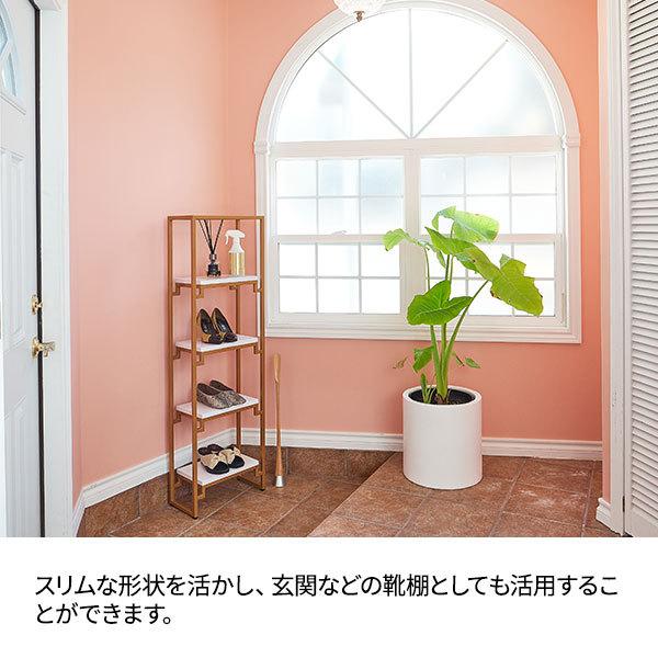 7BEAUTY（7ビューティー） ディスプレイ 棚 スリム 4段 幅40×奥行20×高