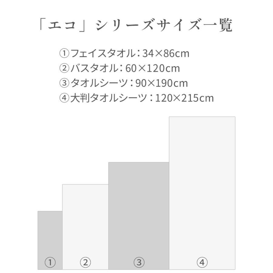 バスタオル 3枚セット 綿100％ 60×120cm 薄手 タオル セット 速乾 吸水