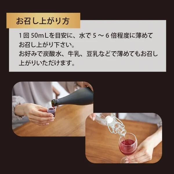 酵素ドリンク 酵素 ファスティング ダイエット 食品 保存料不使用 着色料不使用 国産 日本 断食 置き換え 美肌 腸内環境 美容成分 プラセンタ スーパーフード｜nshop-y｜14