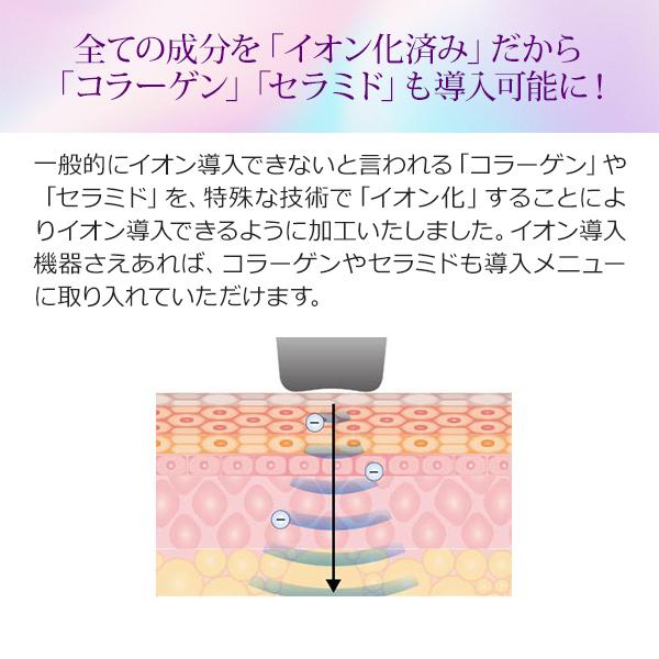 SEVEN BEAUTY（セブンビューティー） 美容液 導入美容液 60ml