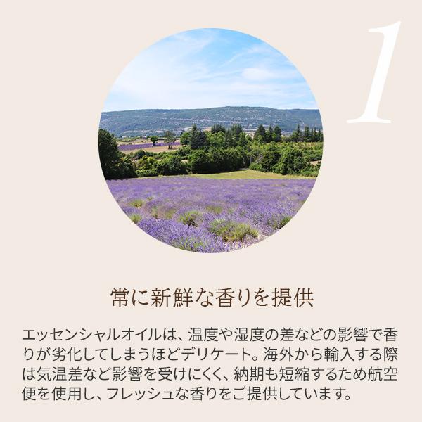 アロマオイル 精油 季節のアロマ 冬ブレンド すっきりクリア 5mL