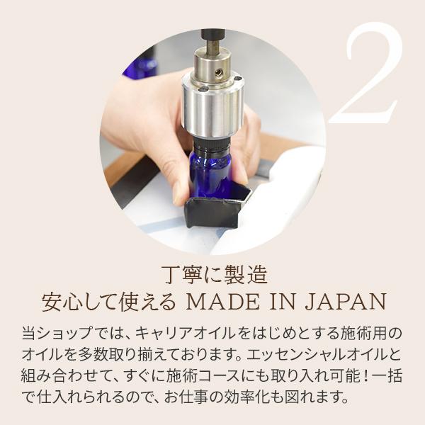 アロマオイル 精油 季節のアロマ 冬ブレンド すっきりクリア 5mL