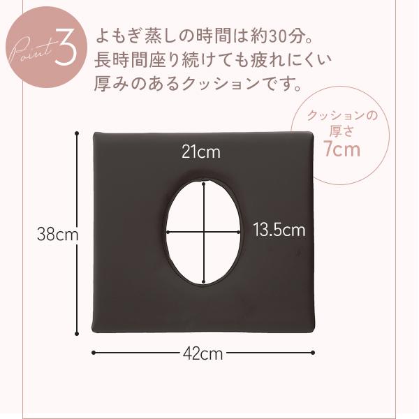よもぎ蒸しセット 7点 高級 B 引き出し式椅子 よもぎ蒸し ハーブ蒸し