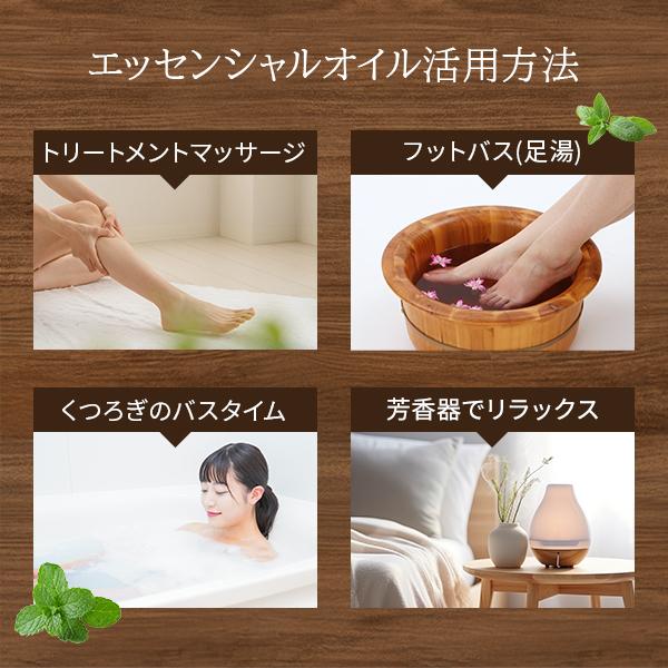 アロマオイル エッセンシャルオイル 精油 10mL アロマ マッサージ