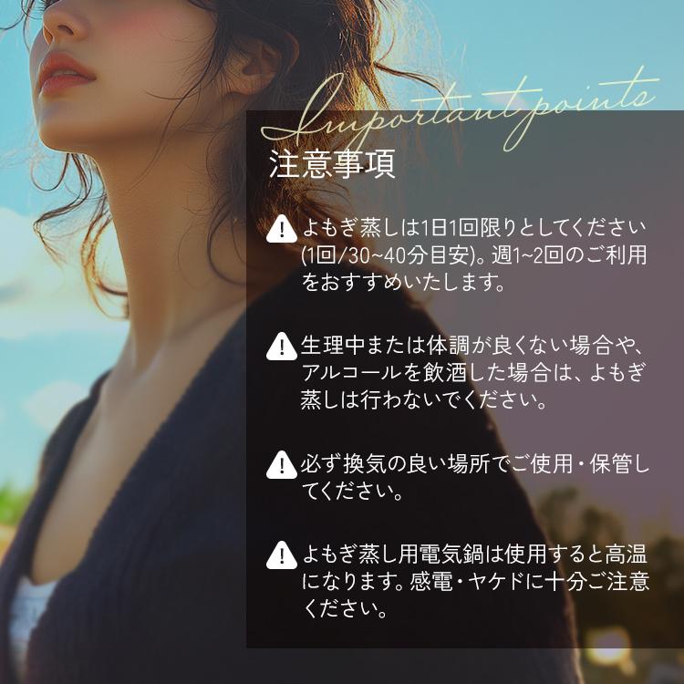 よもぎ蒸しセット 6点 電気鍋 クッション シート ハーブ パック よもぎ蒸しセット 6点 電気鍋 クッション シート ハーブ パック
