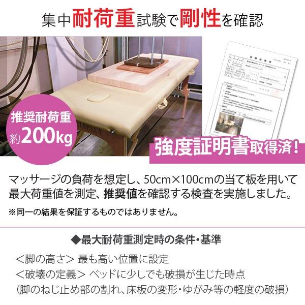 サロン 開業セット お手頃A 3点 セット 折りたたみ マッサージベッド スツール ワゴン キャスター付き 椅子 エステ サロン 整体 施術 開業支援 オープン 開店の画像