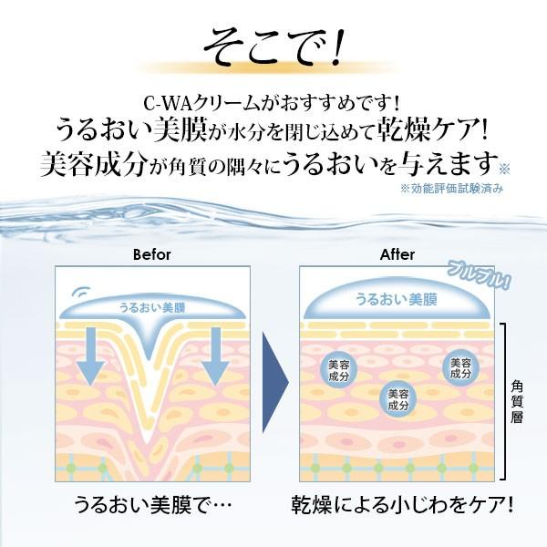 7BEAUTY（7ビューティー） リンクルクリーム C-WAクリーム 100g 11+1