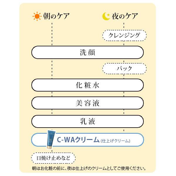 7BEAUTY（7ビューティー） リンクルクリーム C-WAクリーム 100g 11+1