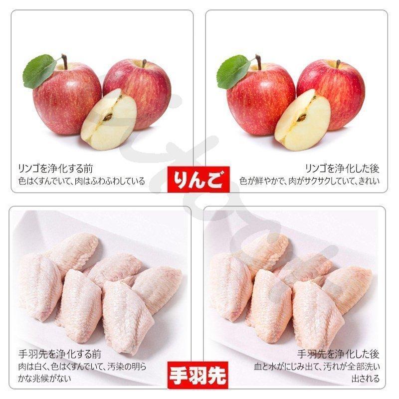 果物・野菜洗浄機 食品浄化機 10L大容量 超音波洗浄機 食器洗浄機 全自動洗浄機超音波果菜クリーナー果物/野菜/魚/肉/食器洗浄に適用 オゾン発生器 cm 野菜 肉 果物 野菜洗浄機 食品浄化機 10L大容量 超音波洗浄機 食器洗浄機 オゾン発生器