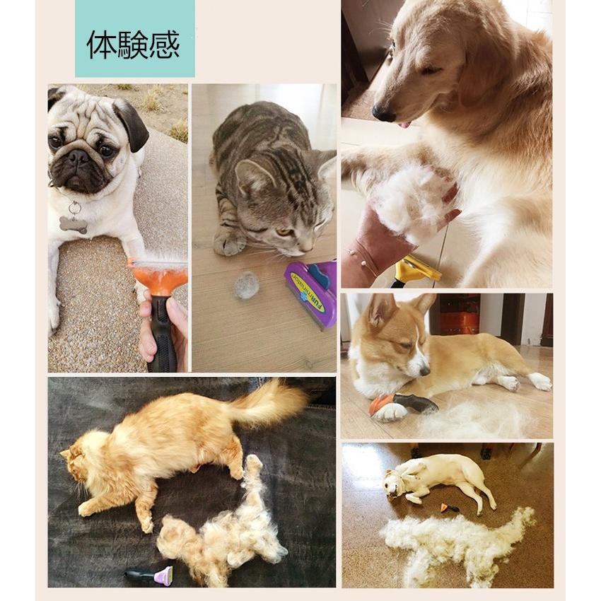 ペット ブラシ グルーミング 抜け毛 小型犬 小型猫 中型犬 大型犬 長毛 短毛 ファーミネーター 専用手袋付き Pet 2 ユミショップ 通販 Yahoo ショッピング
