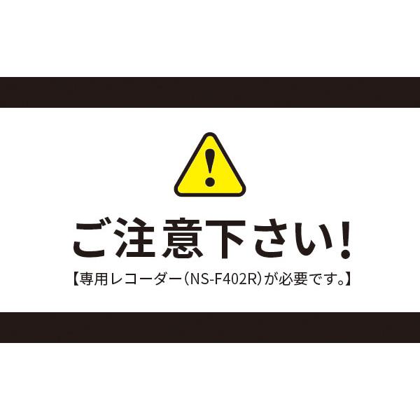 210万画素防犯カメラ【専用レコーダー（NS-F402R）が必要です】 : NSK 
