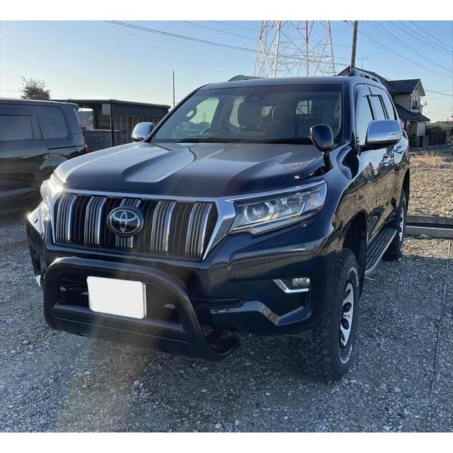 WIN109 プラド 150系 フロント グリルガード 黒 前/中/後期