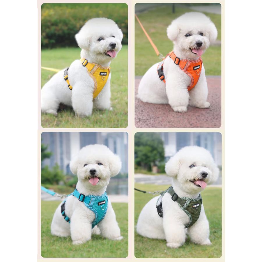 ペット用ハーネス リードセット 小型犬 猫 中型犬 胴輪 ダブルロック