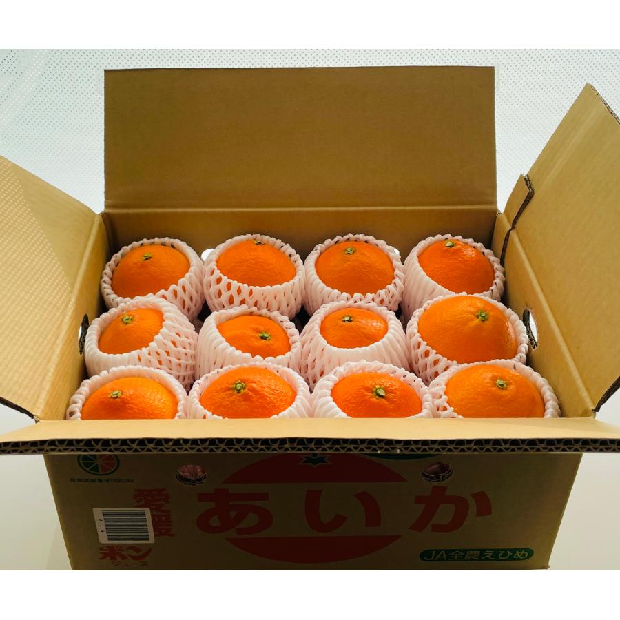 愛媛県産　愛果28号　紅まどんな　Lサイズ以上10kg【送料無料】 愛果28号(5kg入り) 厳選2L-Lサイズ (20-25玉) 産地直送 愛媛県産