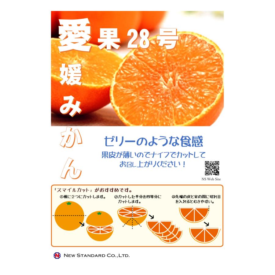 kei　愛媛県産　愛果28号　5kg＋5kg 愛果28号(5kg入り) 厳選2L-Lサイズ (20-25玉) 産地直送 愛媛県産