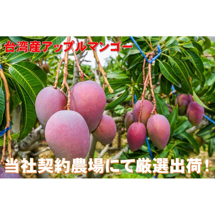 台湾産アップルマンゴー 5kg入り : NSオンラインストア - 通販 - Yahoo