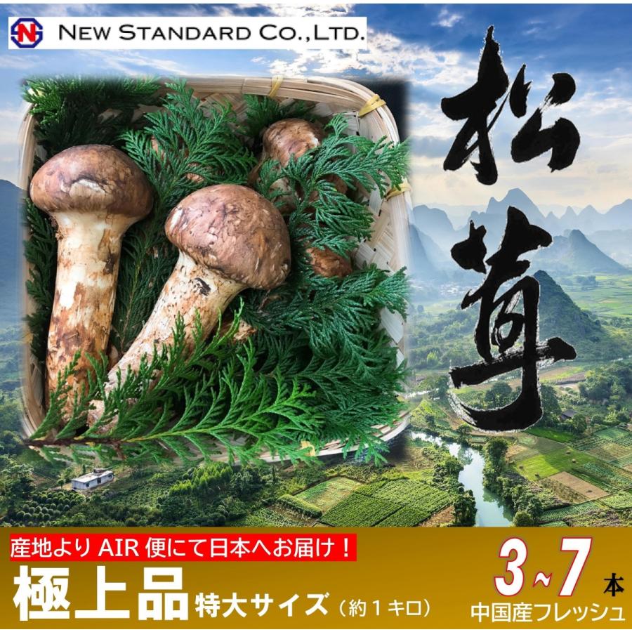 フレッシュ松茸極上品 特大サイズ 1kg Nsmatsutakegokujyotokudai Nsオンラインストア 通販 Yahoo ショッピング