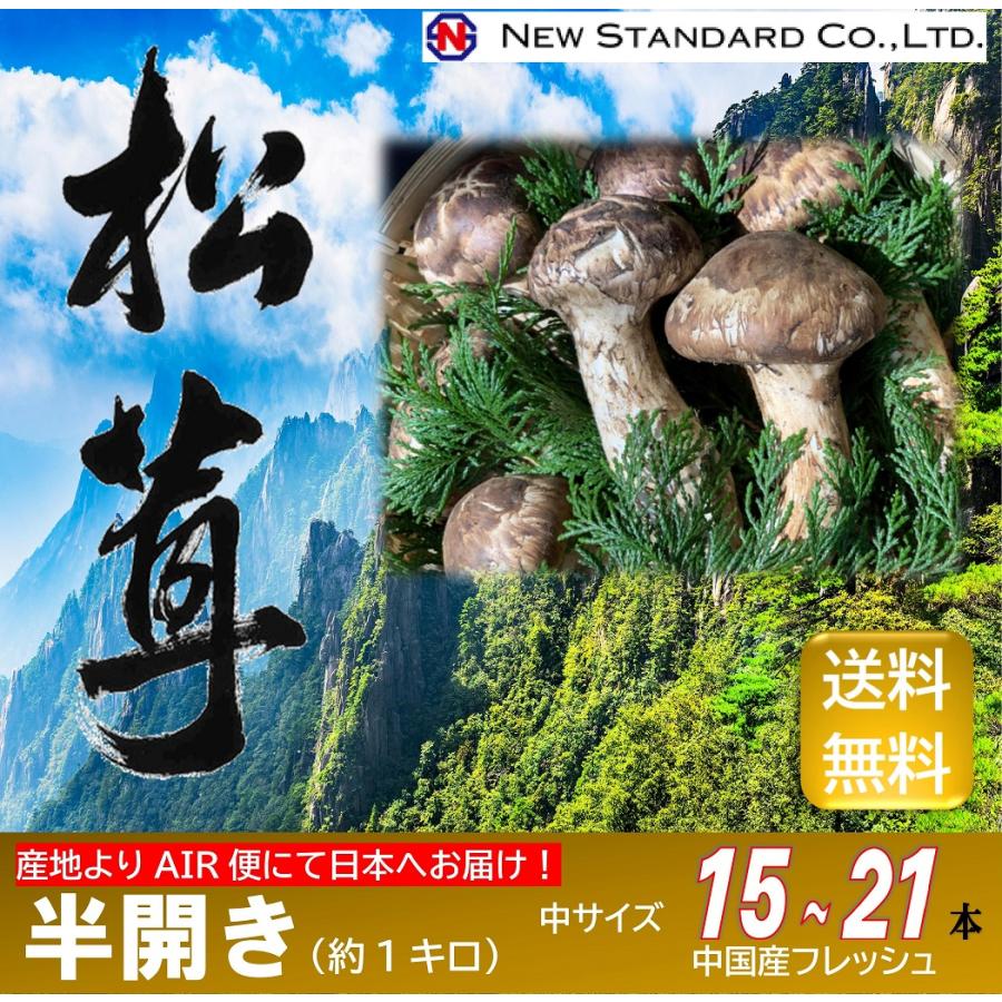 松茸 半開き(中サイズ) 約1kg フレッシュ生鮮まつたけ 直輸入 生