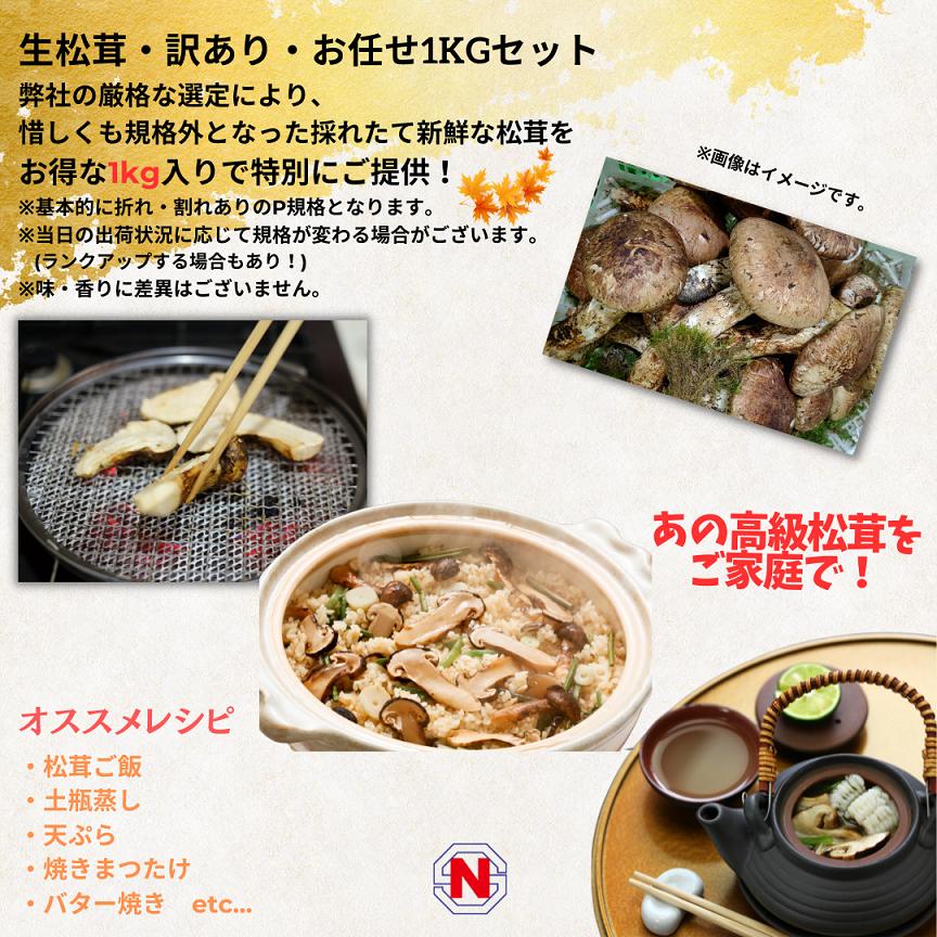 生松茸 訳あり開き・大きさおまかせ 約1kg セット 直輸入 厳選