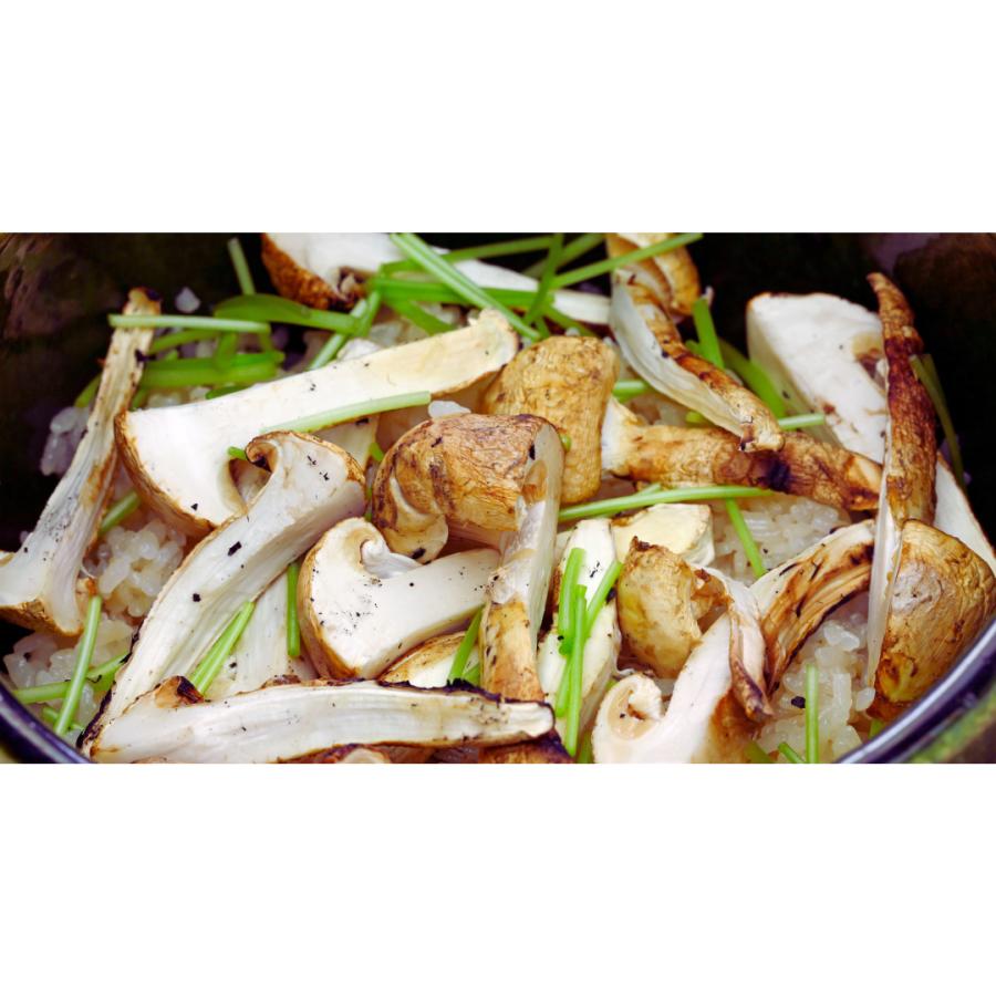 生松茸 訳あり開き・大きさおまかせ 約1kg セット 直輸入 厳選