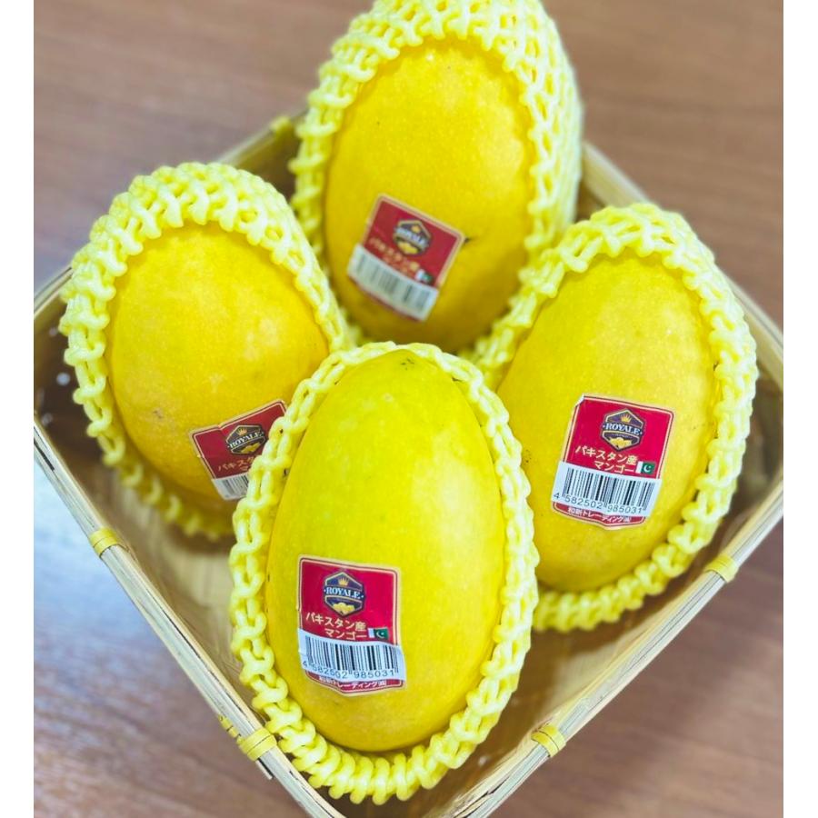 パキスタンマンゴー 4.5kg 14玉入り Pakistan Mango : NSオンライン